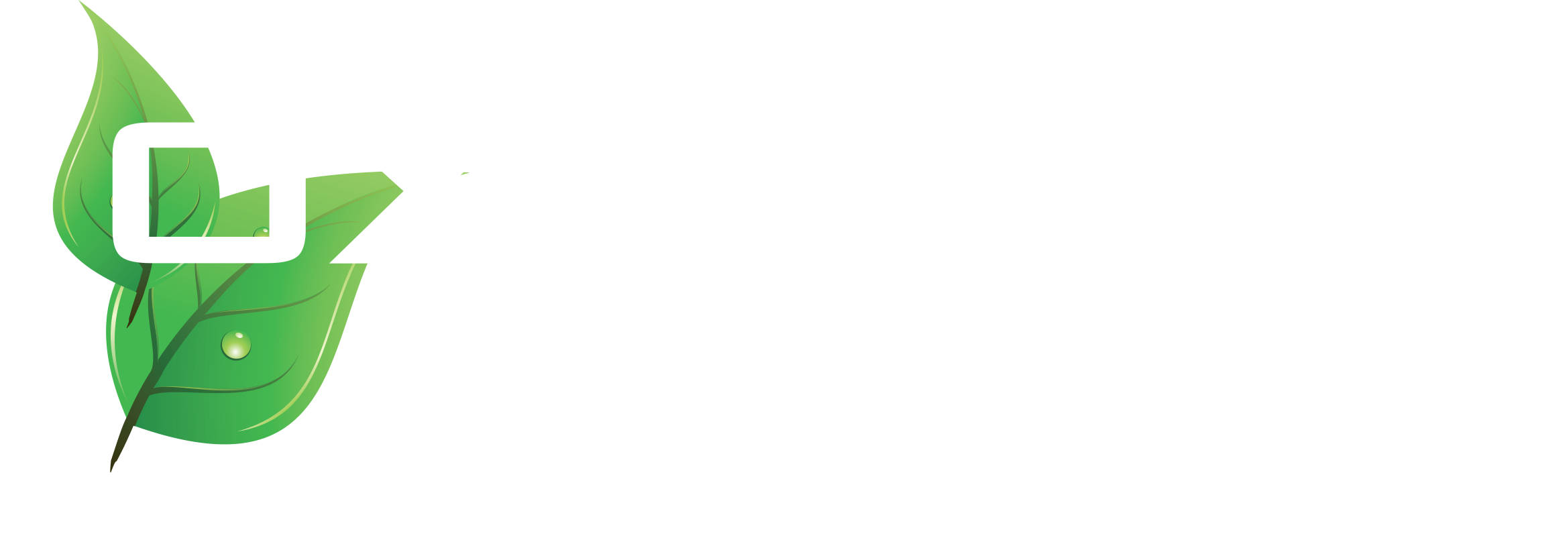 Oxygène Numérique